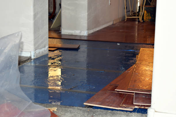 Professional Burst Pipe Cleanup technician working in Dexter, MI
