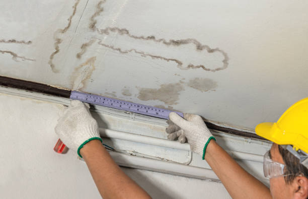 Reliable Burst Pipe Cleanup contractor in Dexter, MI by Water Damage Irwin